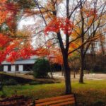 What_do_from _Fall3