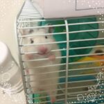 【代々木校】習慣をつけましょう♪