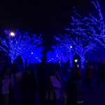 【名古屋校】今年のクリスマスもやっぱり私はここにいます