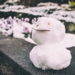 チャレンジすることに意味がある