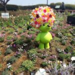 いろんな花と、いろんな個性