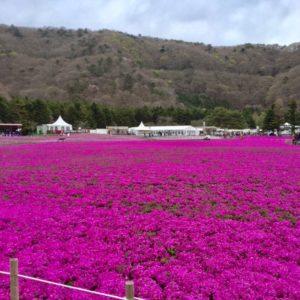 【新宿校】ちょこっとだけお出かけを…♪