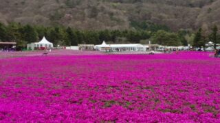 【代々木校】ちょこっとだけお出かけを…♪