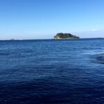 練習の成果が出ますように☆