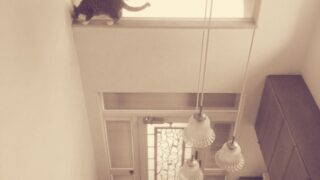 escape_ tohigh_places