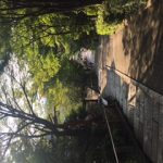 I went to visit the vermeless seal!