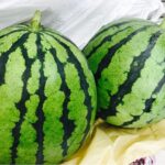 【代々木校】9月はまだまだ夏です。