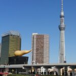良い季節になりましたね