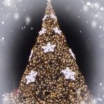 【代々木校】一足先のクリスマス☆