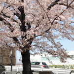 【京都校】検定の春！！！　