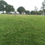 どう進めば良いのか…迷っているアナタヘ！