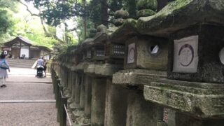 【名古屋校】去年に引き続き・・・