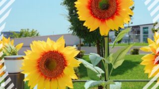 【高田馬場校】熱い夏になりそうな予感