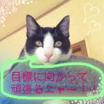 【高田馬場校】目標があると頑張れる！