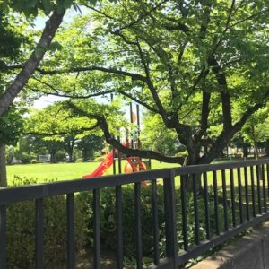 【新宿校】梅雨の大切さに気付く