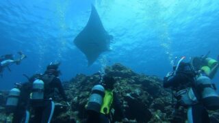 【名古屋校】まさに水族館