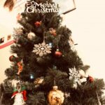 【横浜校】今年もやってきたクリスマスツリー