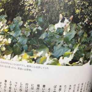 【八王子校】直筆サイン紹介②