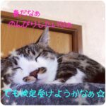 【高田馬場校】歌う準備は出来てますか？