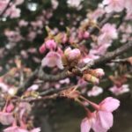 フィジカルトレーニングで身体のメンテナンスとスタイルアップ