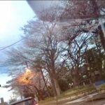 【高田馬場校】春らしくなってきましたね☆