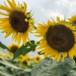 【名古屋校】夏の思い出