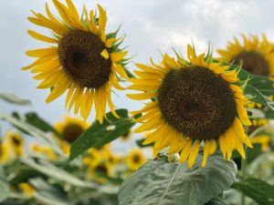 【名古屋校】夏の思い出