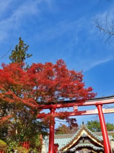 【新宿校】紅葉を見に行こうよう！！