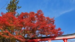 【高田馬場校】紅葉を見に行こうよう！！