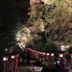 autumn_leaves_light_up!