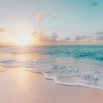 summer_expression