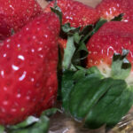 【名古屋校】好きな食べ物はなんですか？
