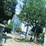 【名古屋校】栄ロフト前にある「矢場公園」の更に前にあるベリメリ！