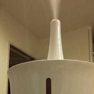 voice_(belt)_pattern