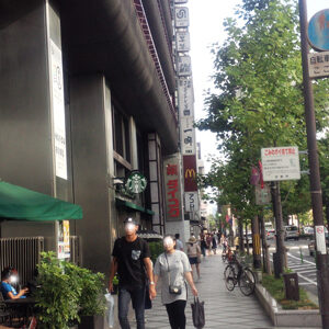 6. 京都タワーを左に見ながら烏丸通りを直進します。