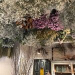 【京都校】天井いっぱいのドライフラワー！