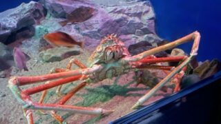 【京都校】水族館と美味しいものって幸せですね♪