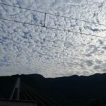 autumn_season_is_gone