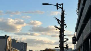 【京都校】冬に向けての体調管理ってほんとに難しいですね。。。
