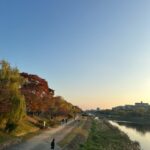 【京都校】秋の京都名物、紅葉が始まっていますよ♪