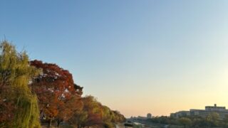 【京都校】秋の京都名物、紅葉が始まっていますよ♪