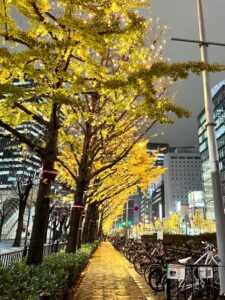 【京都校】新しいイルミネーションの楽しみ方発見！！！