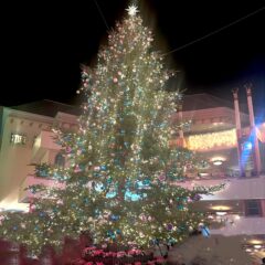 【横浜校】クリスマスまで1ヶ月を切りました！