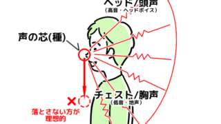 【ボイトレ】歌で「感動」させる声の「共鳴」仕組みと響かせる方法-03