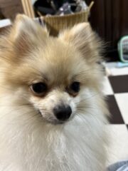 【名古屋校】もっふもふしてたらHPが全回復します