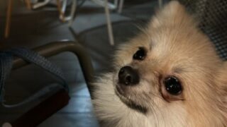 【名古屋校】スパルタ教育ママになりつつある私